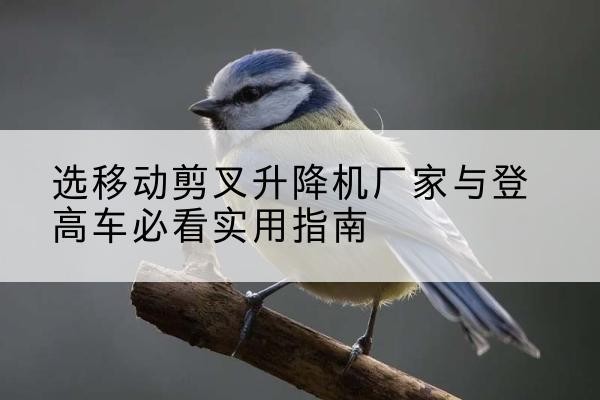 锡林郭勒盟电动升降机厂家-选移动剪叉升降机厂家与登高车必看实用指南