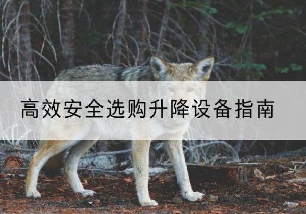 锡林郭勒盟升降货梯厂家推荐-*安全选购升降设备指南