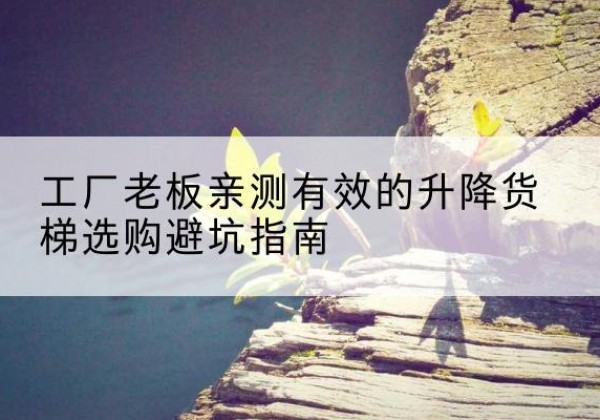 锡林郭勒盟升降货梯怎么选-工厂老板亲测有效的升降货梯选购避坑指南